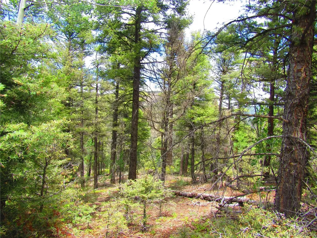 Lot 6028 Spruce Roads San Luis CO 81152