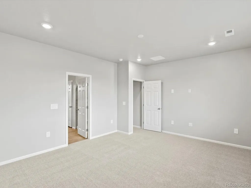 1629 Yampa River Drive Windsor CO 80550