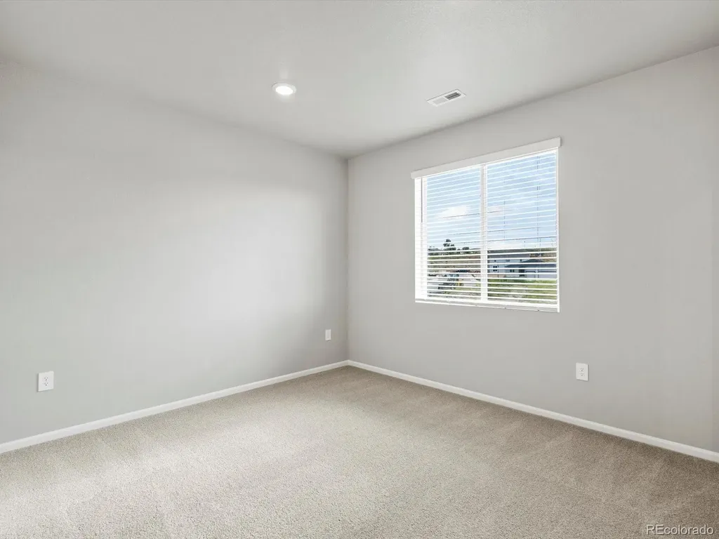 1629 Yampa River Drive Windsor CO 80550