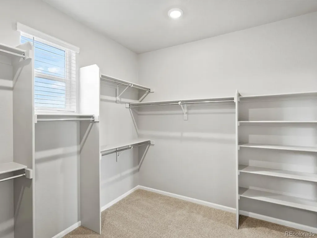 1629 Yampa River Drive Windsor CO 80550