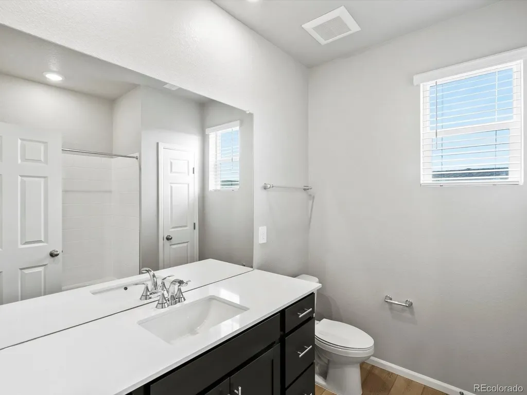 1629 Yampa River Drive Windsor CO 80550