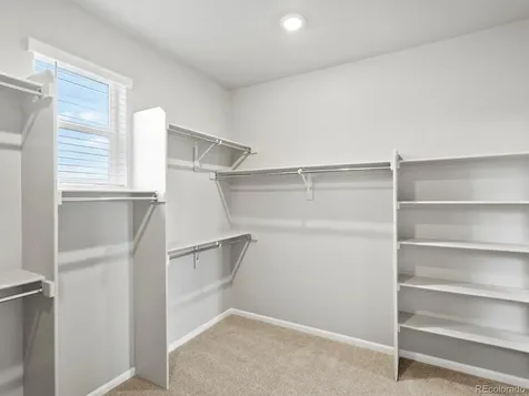 1629 Yampa River Drive Windsor CO 80550
