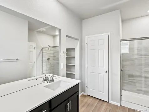 1629 Yampa River Drive Windsor CO 80550