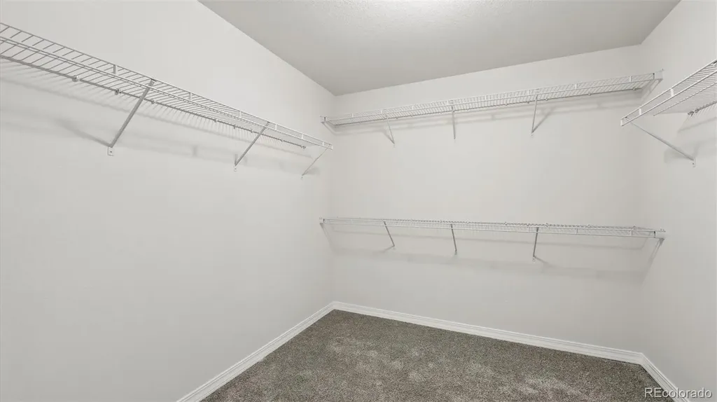 8567 Besson Court Colorado Springs CO 80925