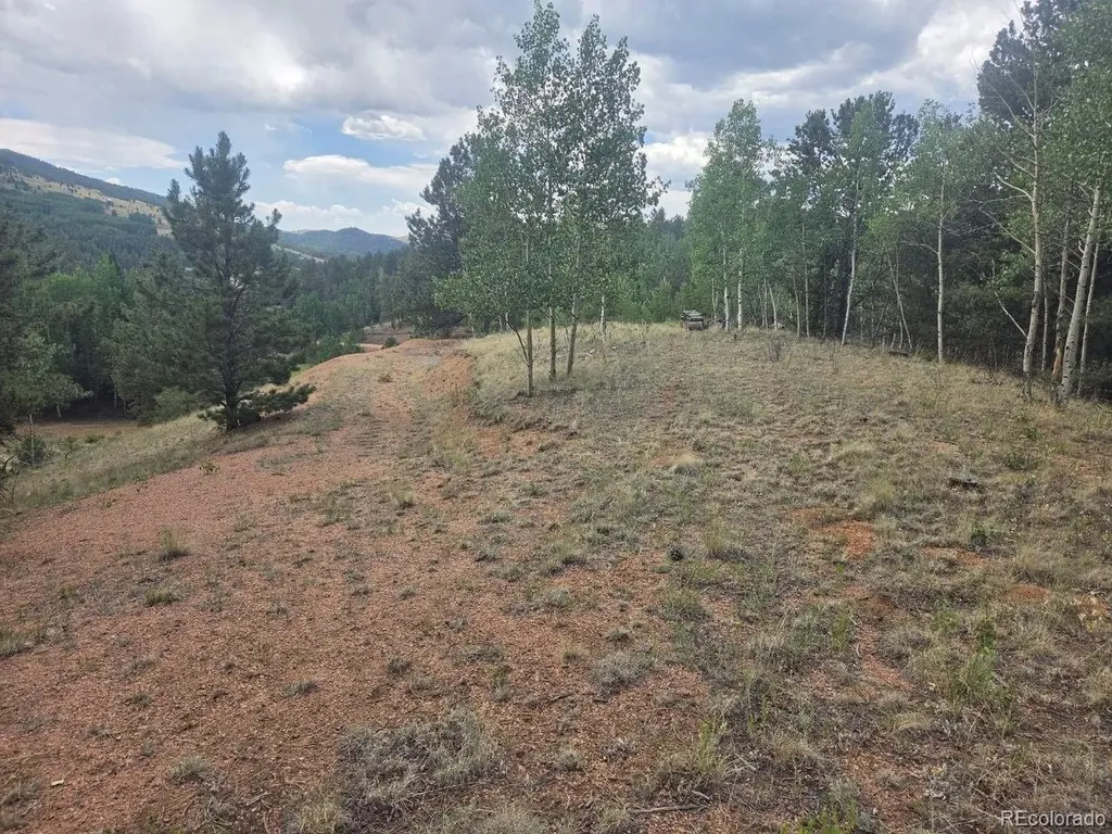 1124 Yorktown Road Cripple Creek CO 80813