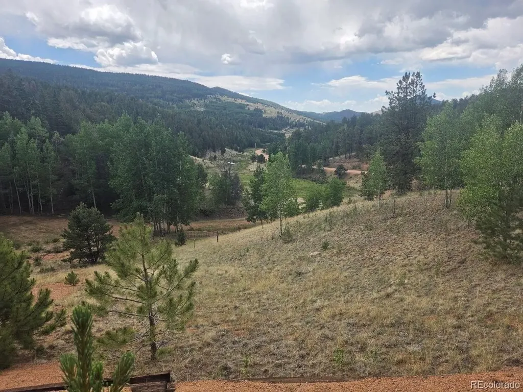 1124 Yorktown Road Cripple Creek CO 80813