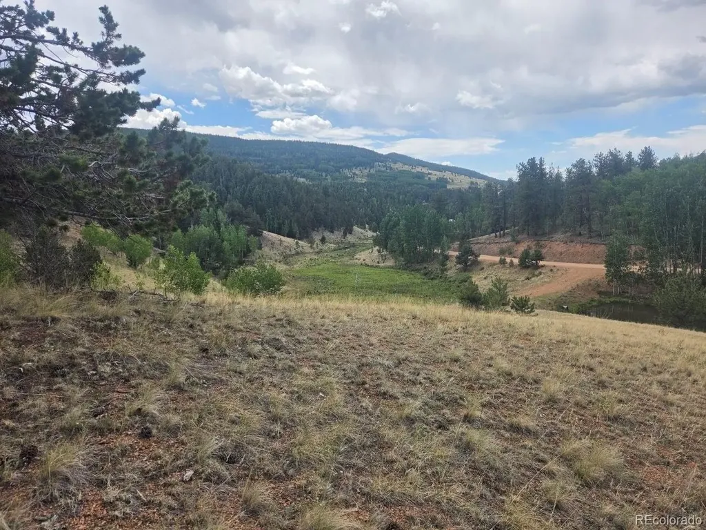 1124 Yorktown Road Cripple Creek CO 80813