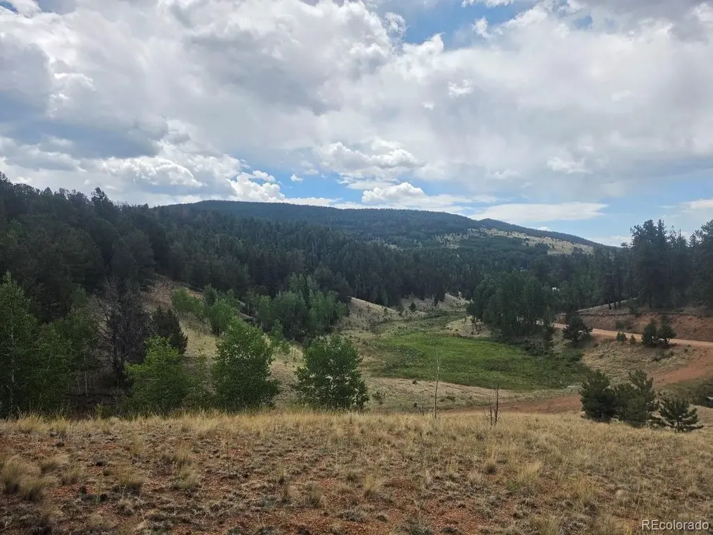 1124 Yorktown Road Cripple Creek CO 80813