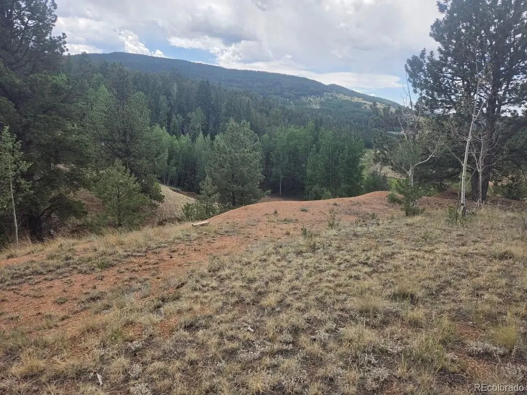 1124 Yorktown Road Cripple Creek CO 80813
