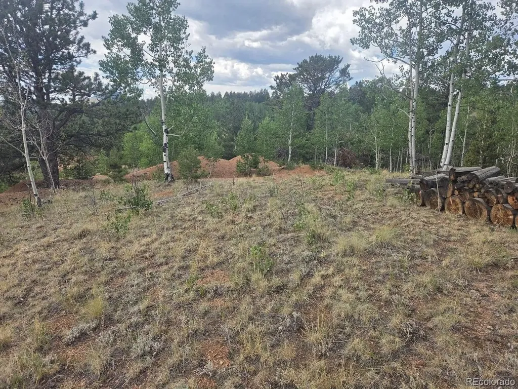 1124 Yorktown Road Cripple Creek CO 80813