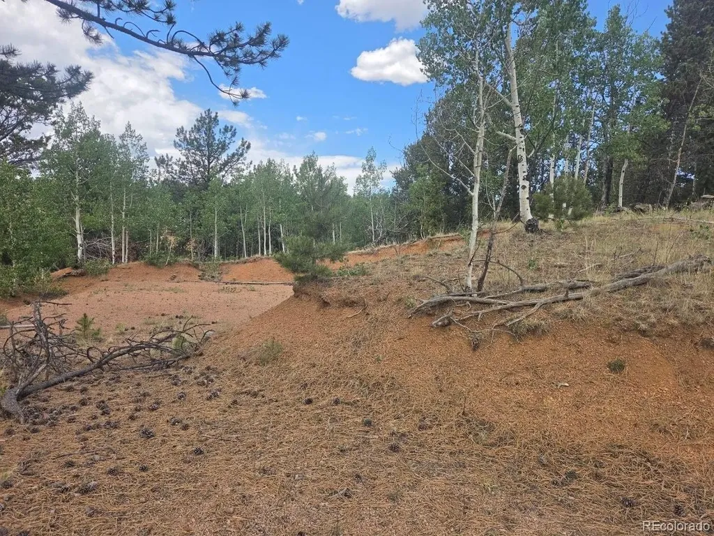 1124 Yorktown Road Cripple Creek CO 80813