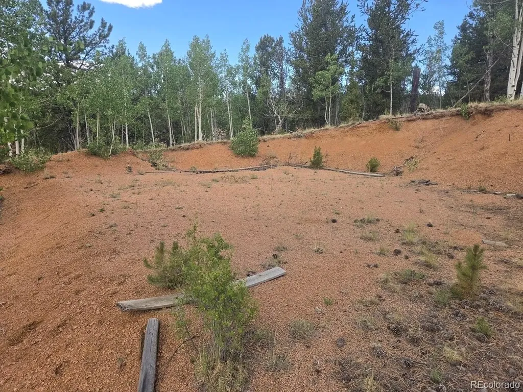 1124 Yorktown Road Cripple Creek CO 80813