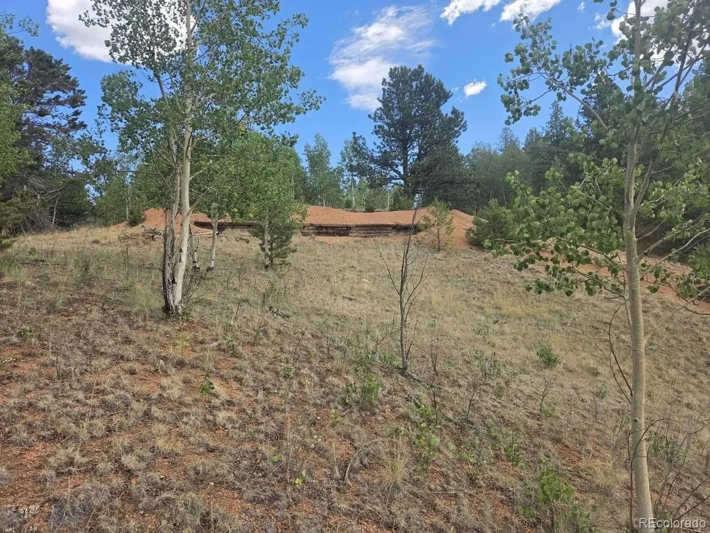 1124 Yorktown Road Cripple Creek CO 80813