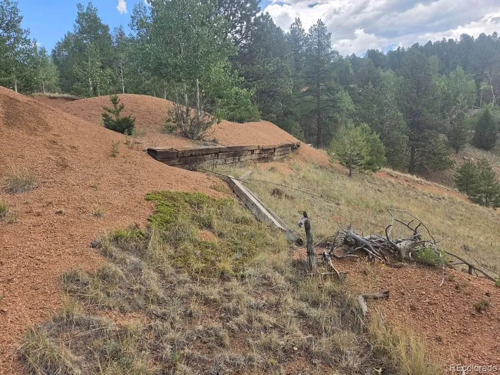 1124 Yorktown Road Cripple Creek CO 80813
