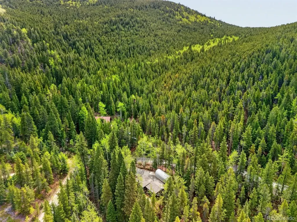 647 Old Little Bear Creek Road Idaho Springs CO 80452