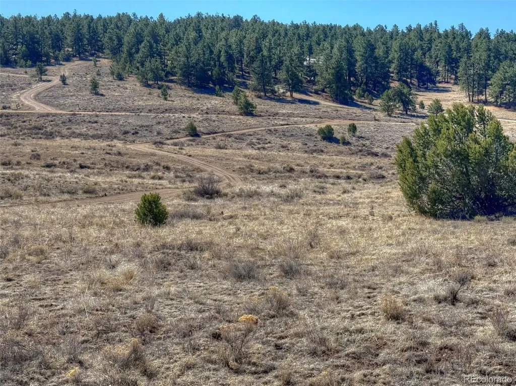 885 Crow Road Westcliffe CO 81252