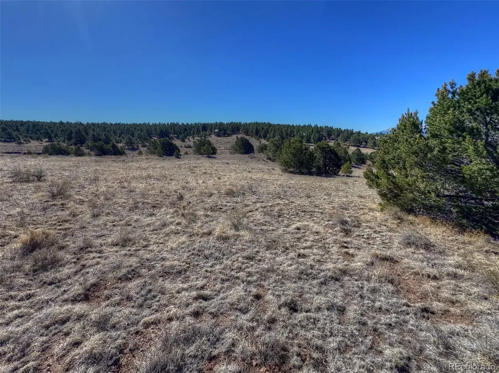 885 Crow Road Westcliffe CO 81252