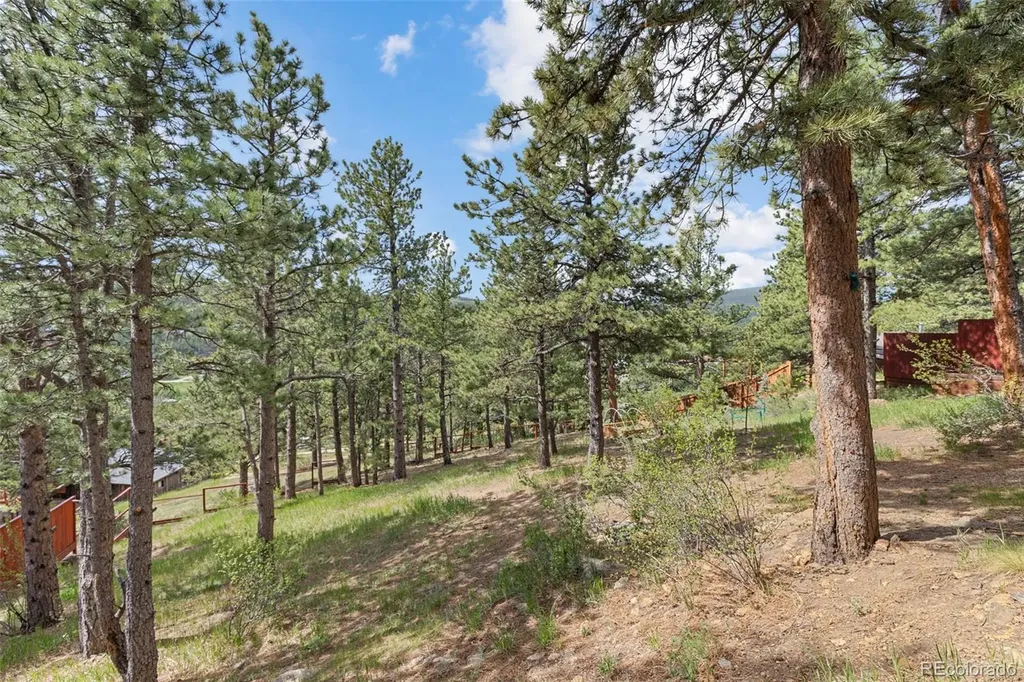 2 King Place Nederland CO 80466