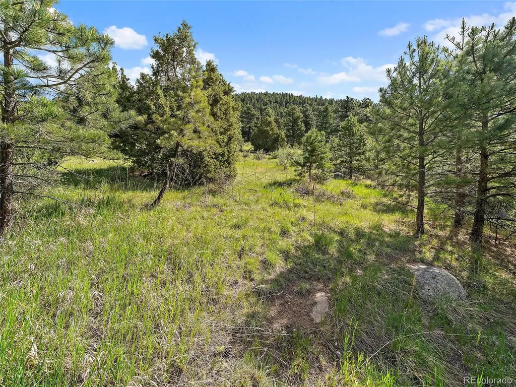 26000 Edelweiss Circle Evergreen CO 80439