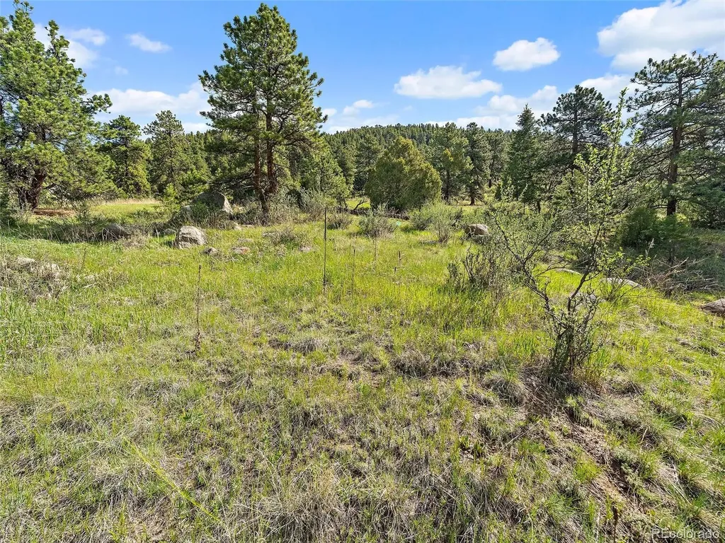 26000 Edelweiss Circle Evergreen CO 80439
