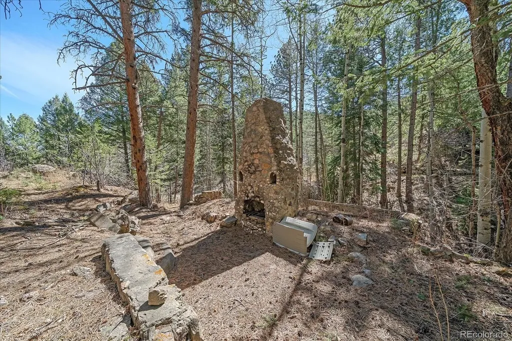 1385 Beaver Brook Canyon Road Evergreen CO 80439