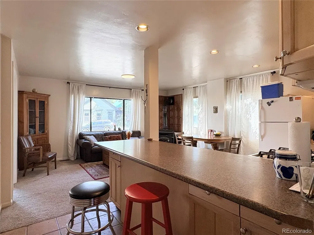 205 E 4th Street Leadville CO 80461
