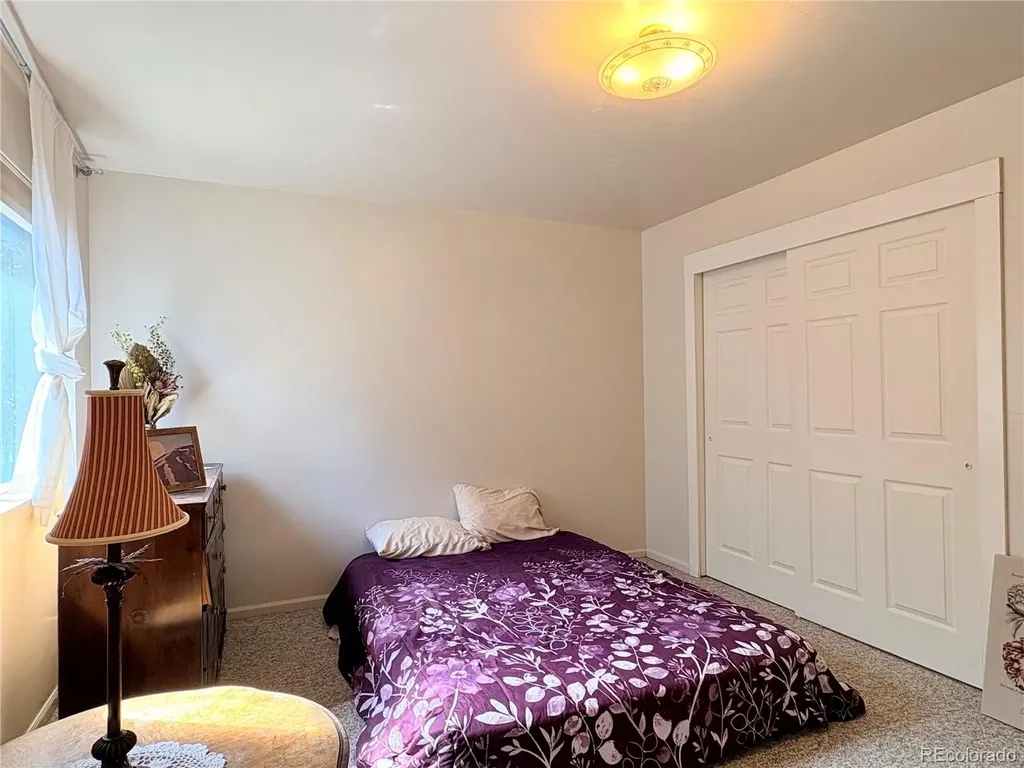205 E 4th Street Leadville CO 80461