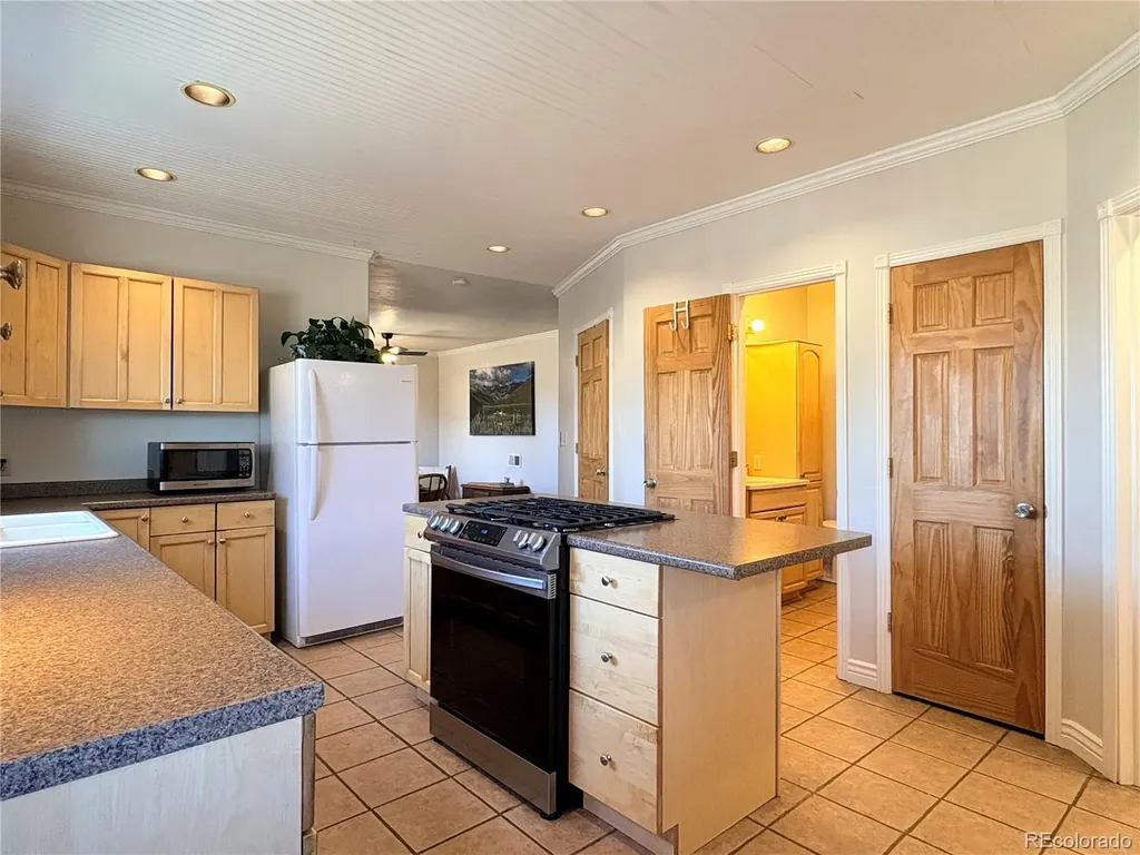 205 E 4th Street Leadville CO 80461