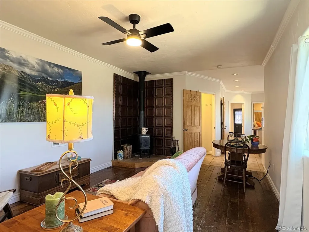 205 E 4th Street Leadville CO 80461