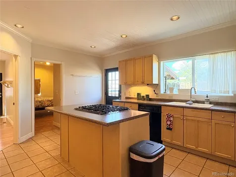 205 E 4th Street Leadville CO 80461