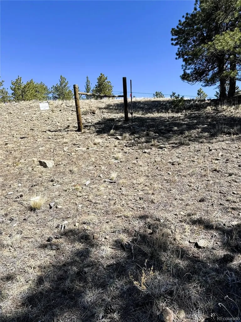 0000 Campfire Road Hartsel CO 80449