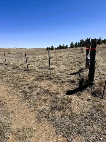 0000 Campfire Road Hartsel CO 80449
