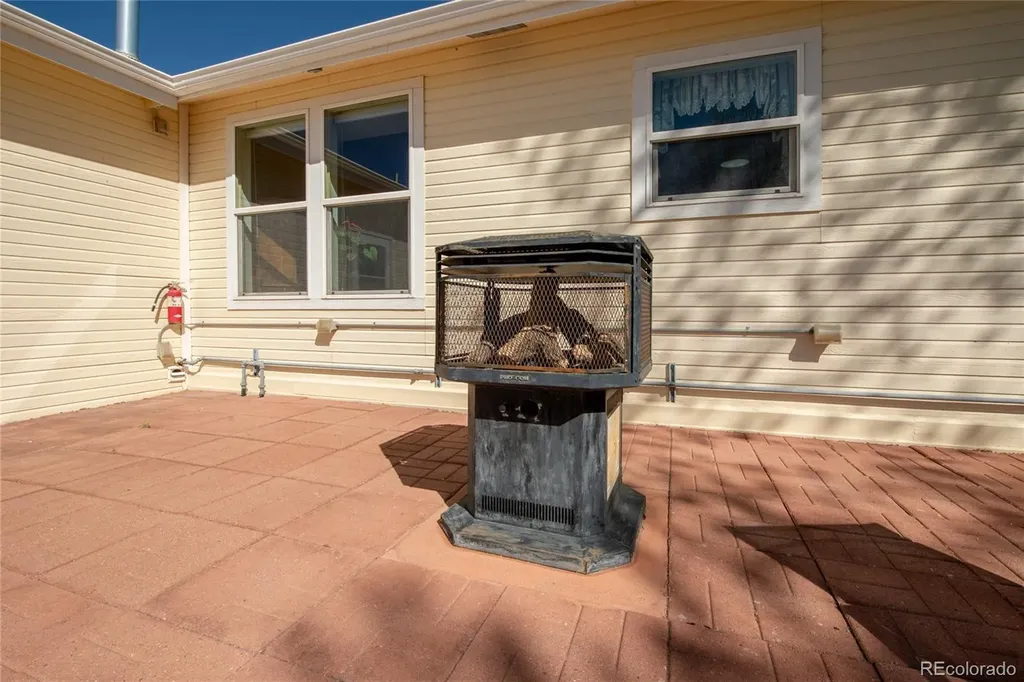 27665 County Road 313 Buena Vista CO 81211