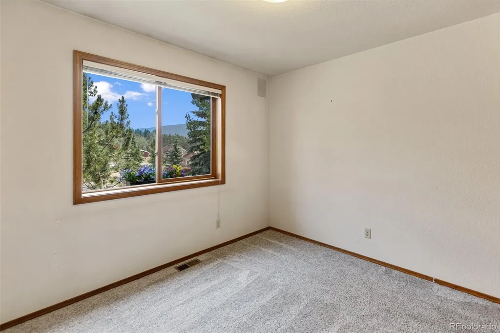 821 Red Eagle Court Woodland Park CO 80863