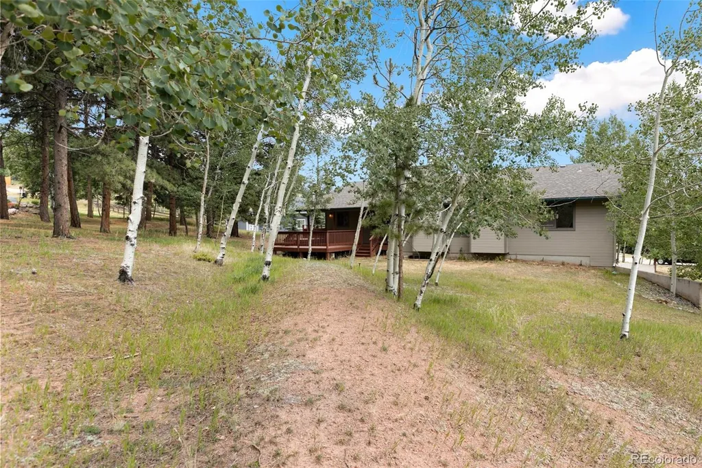 821 Red Eagle Court Woodland Park CO 80863