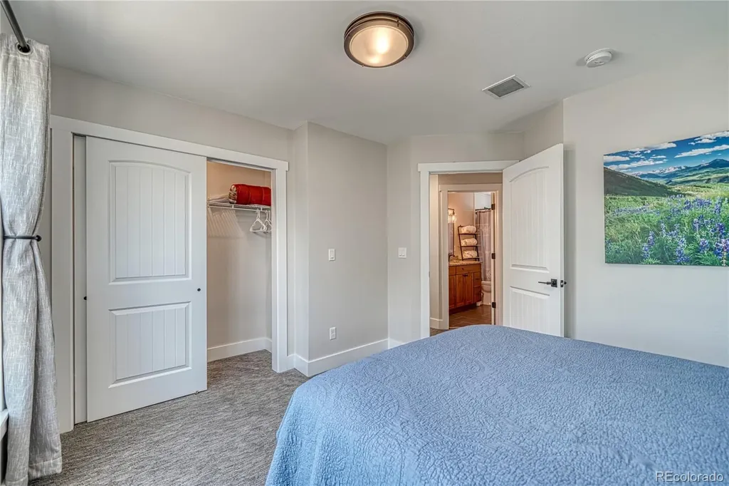 1218 Silver Vault Street Leadville CO 80461