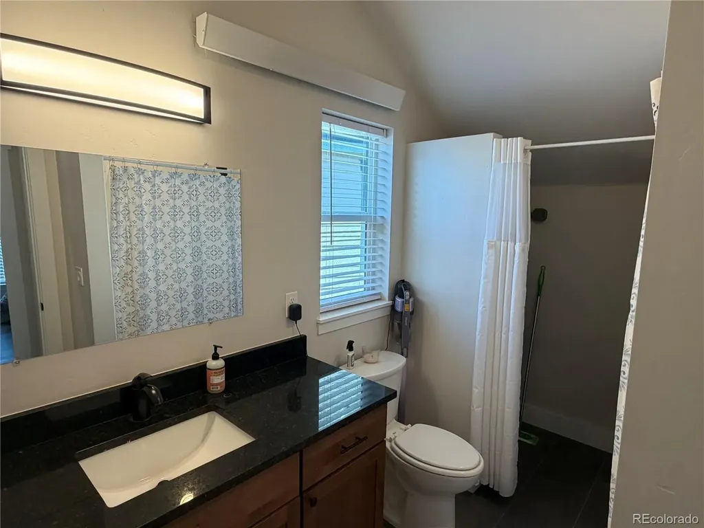 1218 Silver Vault Street Leadville CO 80461