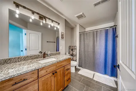 1218 Silver Vault Street Leadville CO 80461