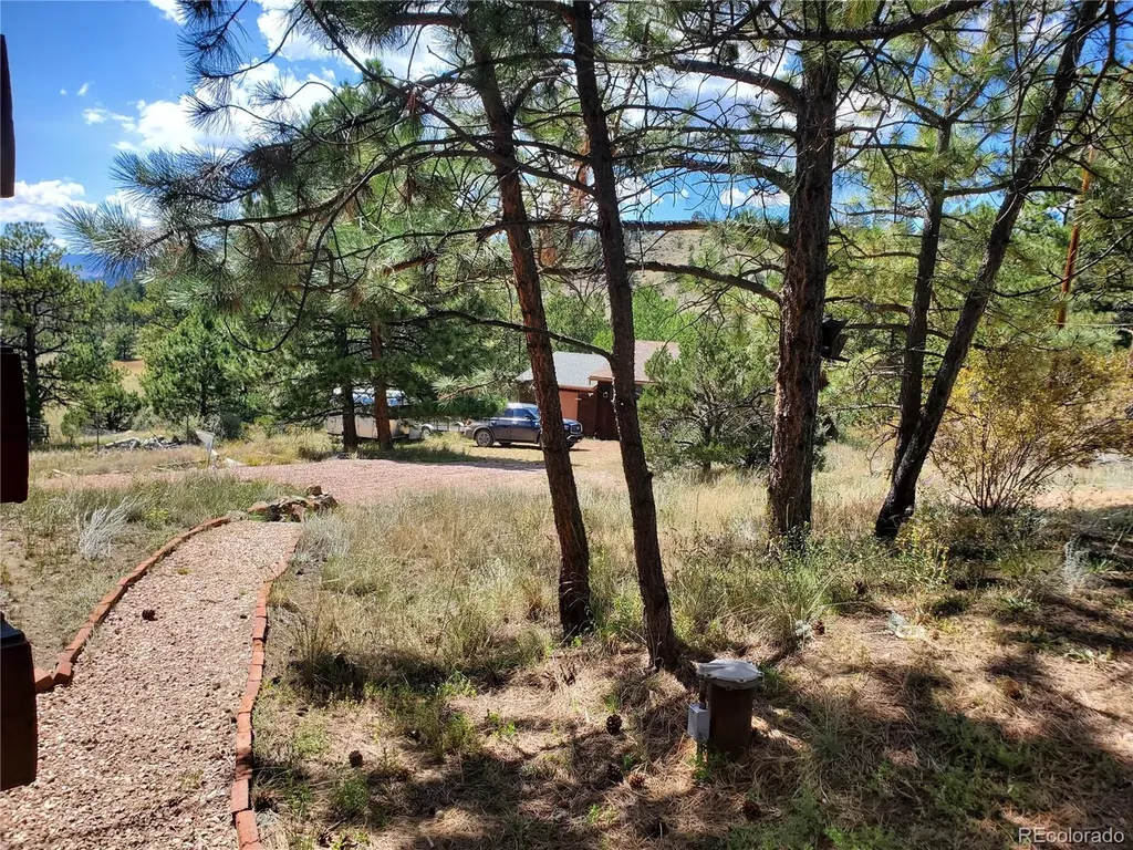958 Meadows Lane Florissant CO 80820