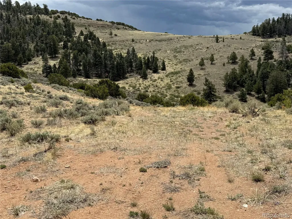 Lot 5428 Balleroy Road Fort Garland CO 81133