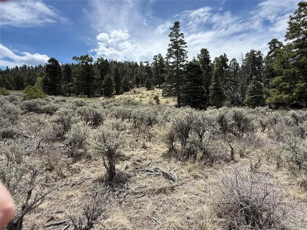 Lot 5428 Balleroy Road Fort Garland CO 81133