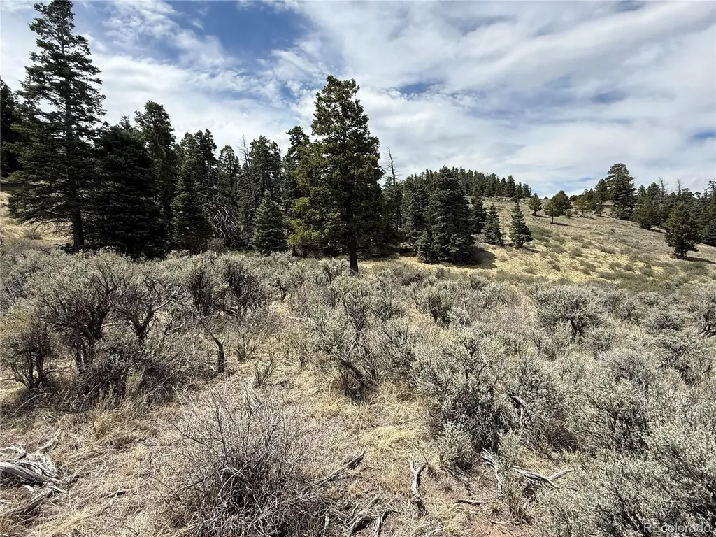 Lot 5428 Balleroy Road Fort Garland CO 81133
