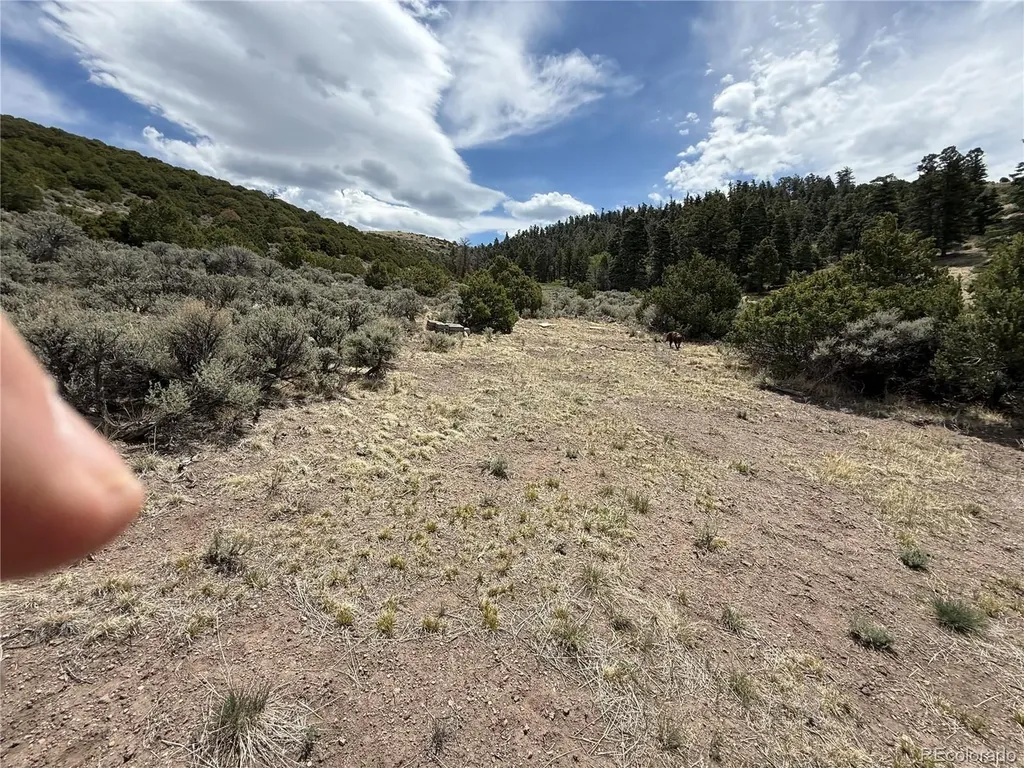 Lot 5428 Balleroy Road Fort Garland CO 81133