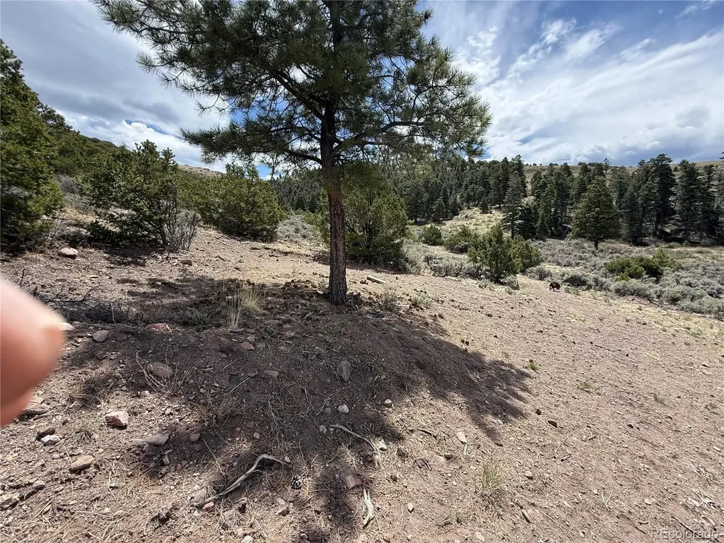 Lot 5428 Balleroy Road Fort Garland CO 81133