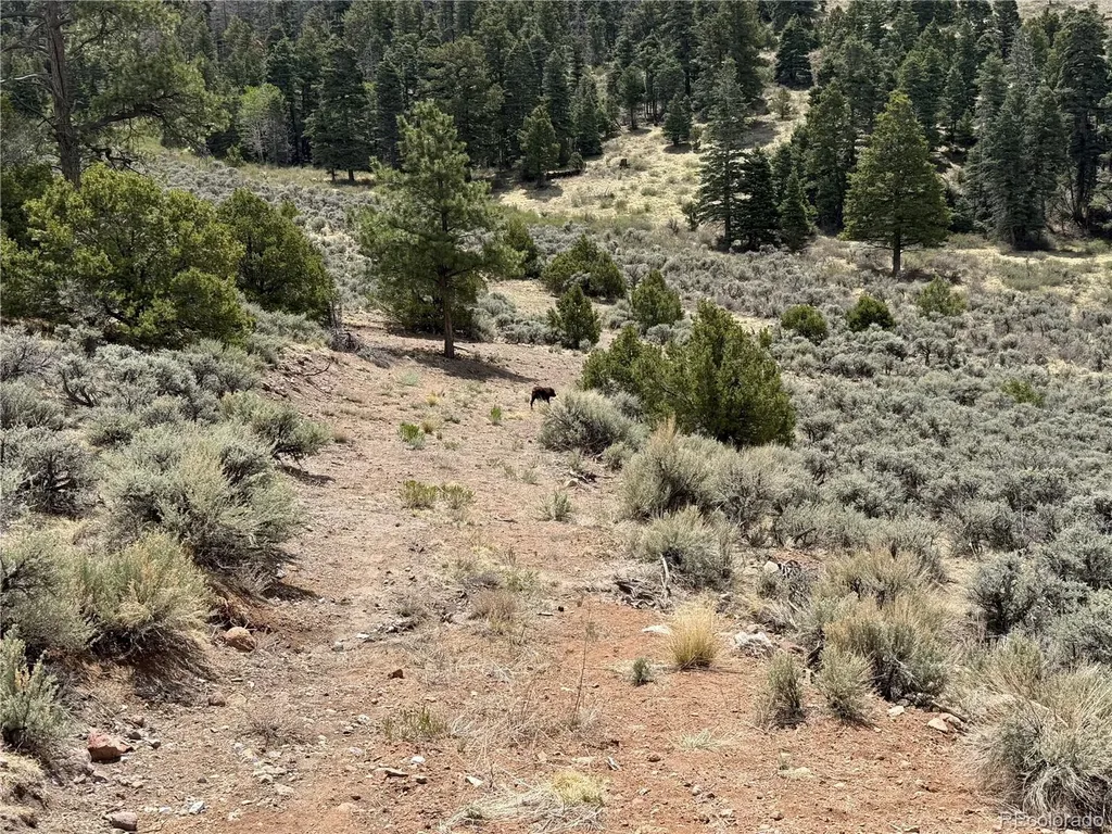 Lot 5428 Balleroy Road Fort Garland CO 81133