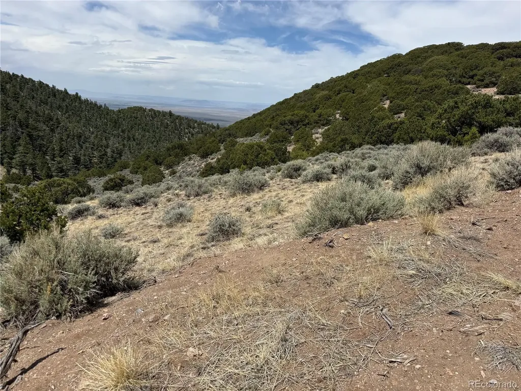Lot 5428 Balleroy Road Fort Garland CO 81133