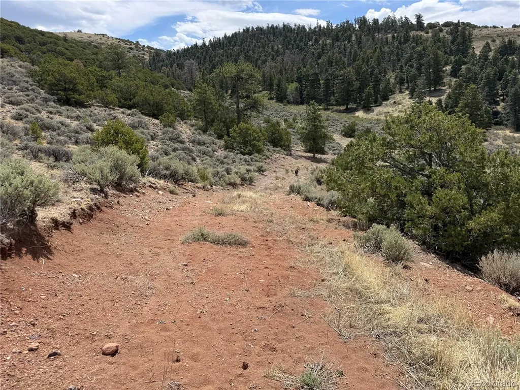 Lot 5428 Balleroy Road Fort Garland CO 81133