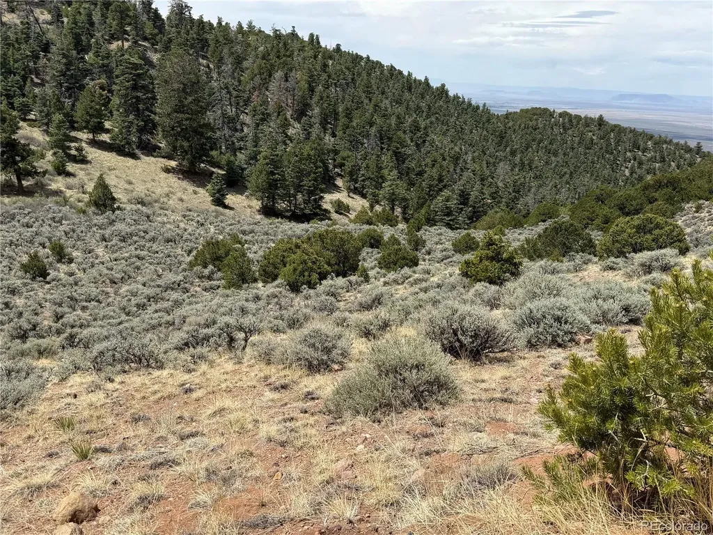 Lot 5428 Balleroy Road Fort Garland CO 81133