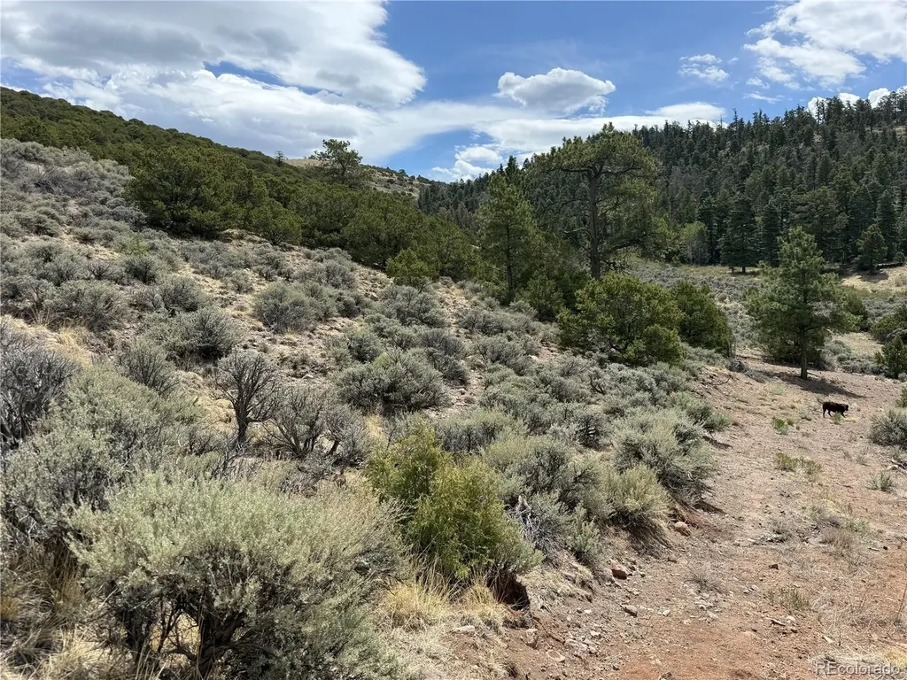 Lot 5428 Balleroy Road Fort Garland CO 81133