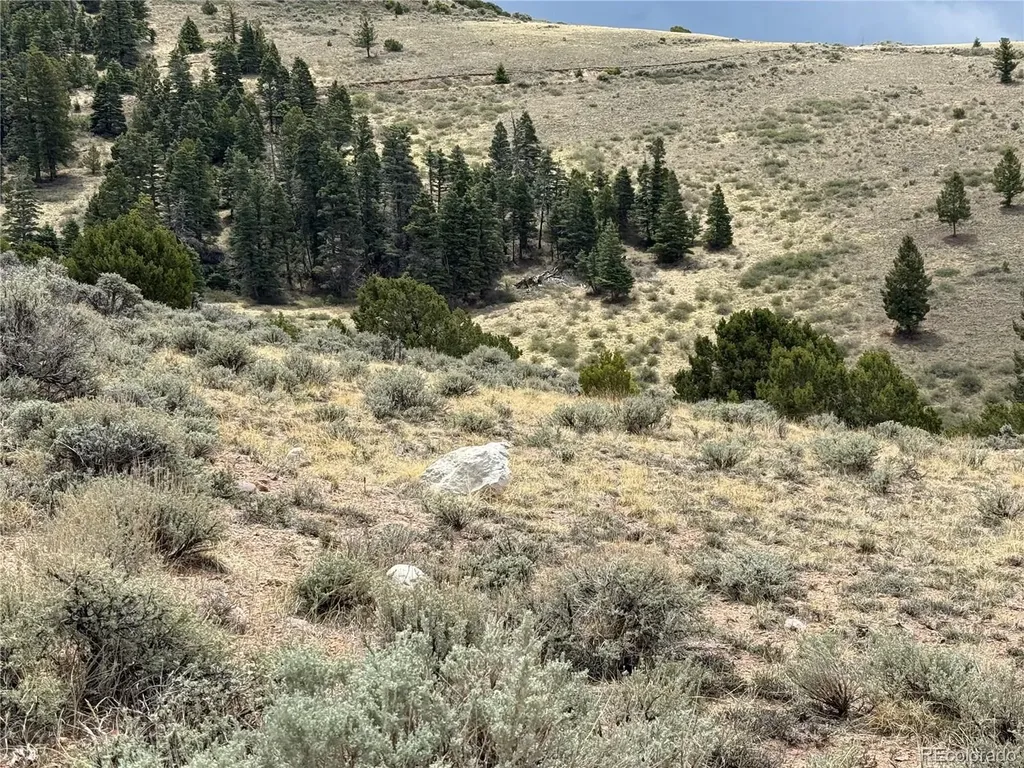 Lot 5428 Balleroy Road Fort Garland CO 81133